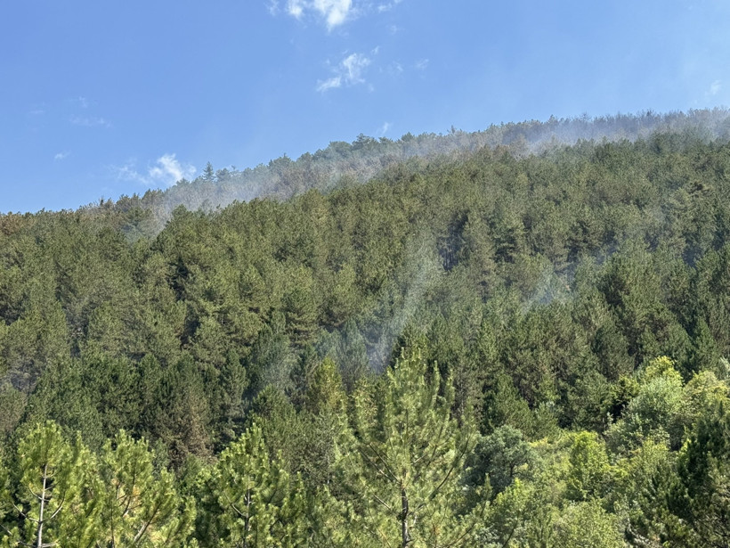 Çankırı'daki yangında 40 hektar orman zarar gördü - Resim : 1