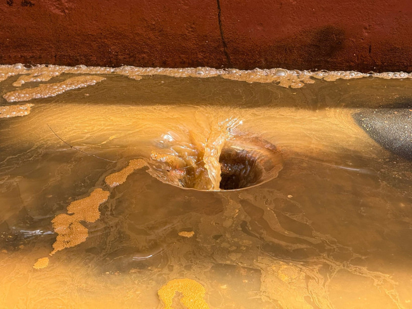 Marmara'daki bu görüntüye milyonluk ceza - Resim : 1