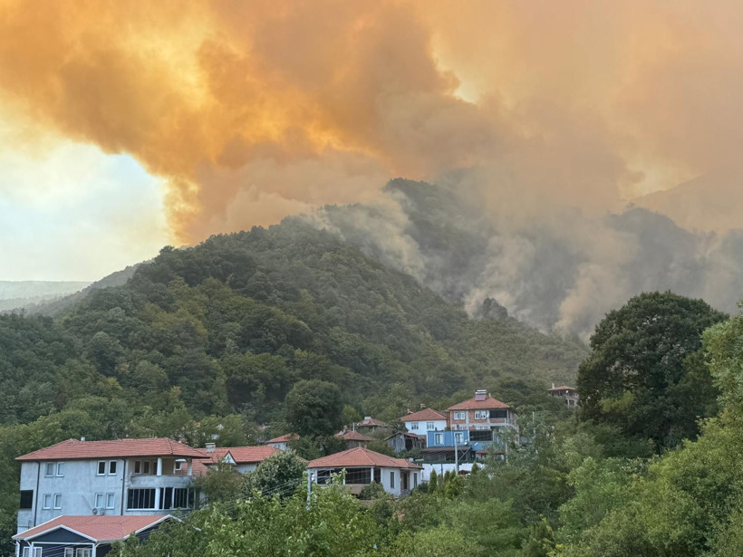 Geyve'de yangın: Yola yaklaştı, mahalle boşaltıldı - Resim: 4