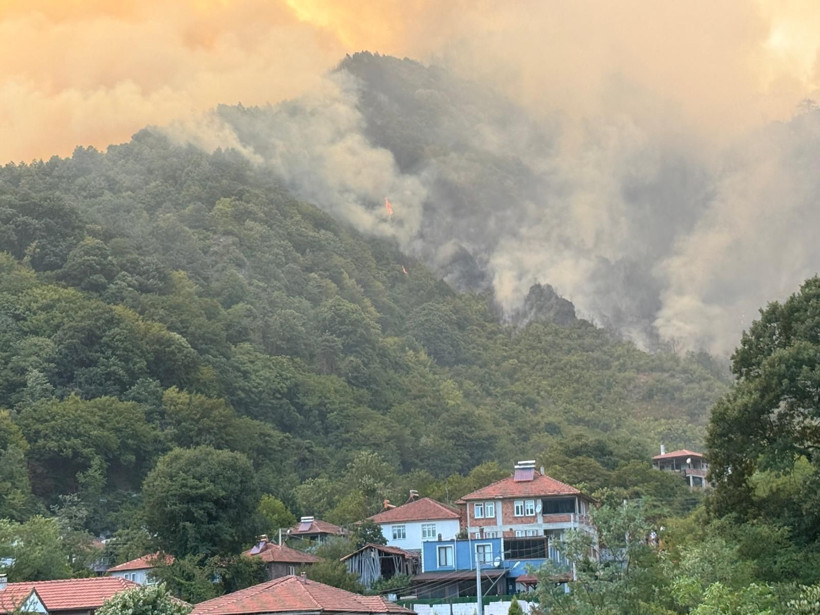 Geyve'de yangın: Yola yaklaştı, mahalle boşaltıldı - Resim: 8