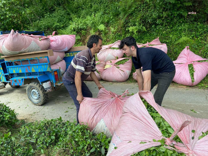 Tepki büyüdü: Vatandaş delirdi mi, neden 16 TL'ye satıyor? - Resim : 1