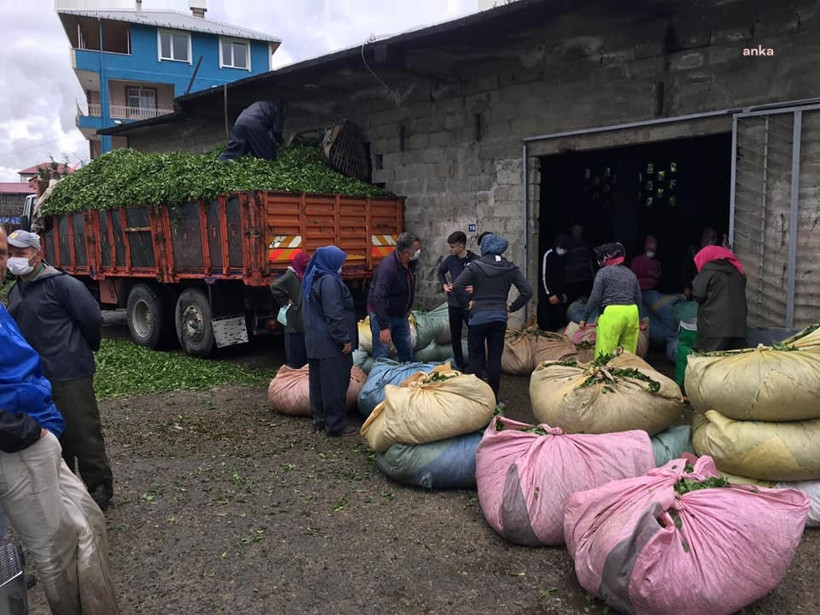 Tepki büyüdü: Vatandaş delirdi mi, neden 16 TL'ye satıyor? - Resim : 3