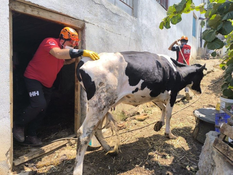 Antalya'da 5 ilçedeki orman yangınlarının 2'sine müdahale sürüyor - Resim: 56