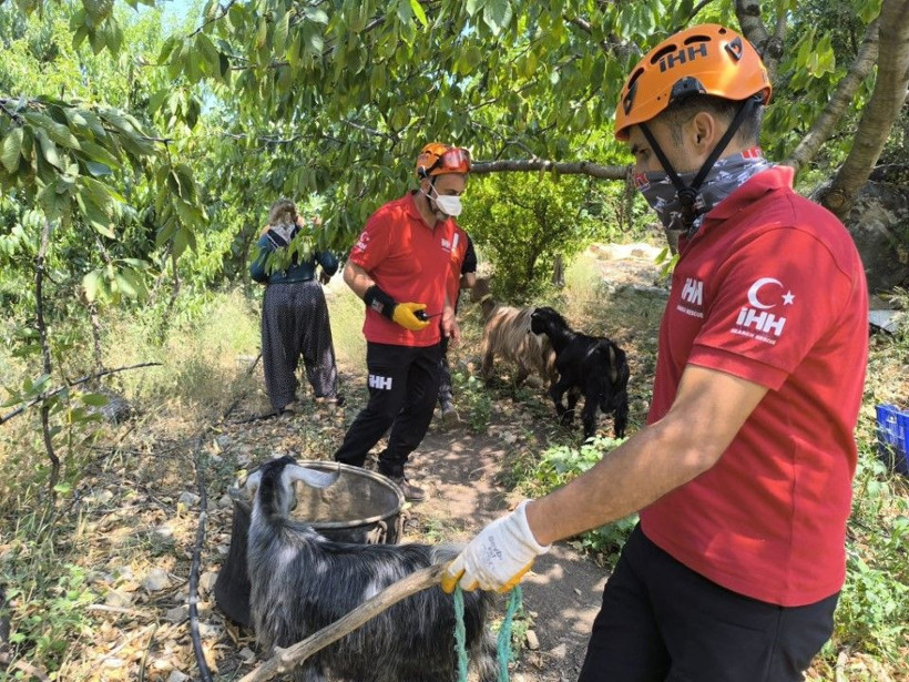 Antalya'da 5 ilçedeki orman yangınlarının 2'sine müdahale sürüyor - Resim: 57