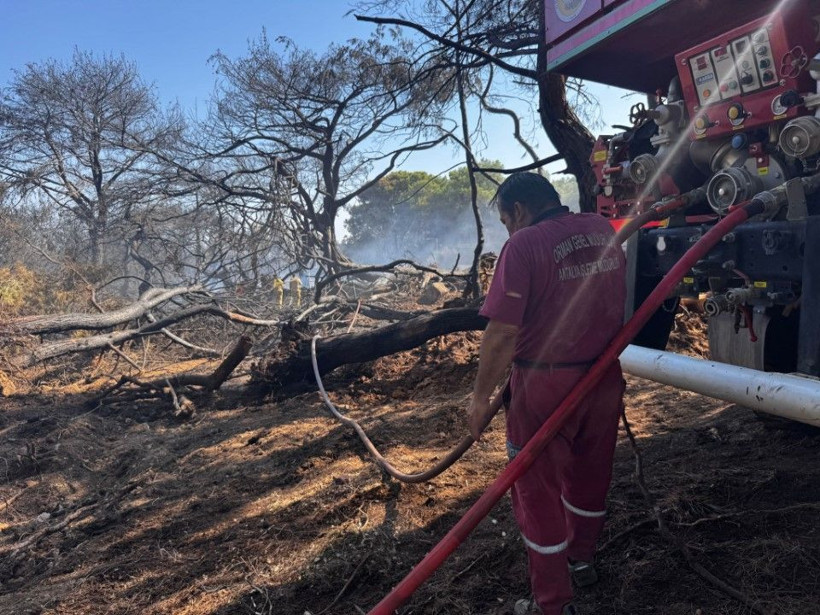 Antalya'da 5 ilçedeki orman yangınlarının 2'sine müdahale sürüyor - Resim: 14