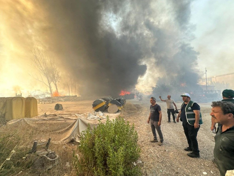 Antalya'da 5 ilçedeki orman yangınlarının 2'sine müdahale sürüyor - Resim: 31