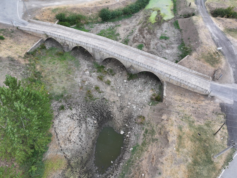 Tunca Nehri akmıyor: Ördeklerin yerini köpekler aldı - Resim : 1