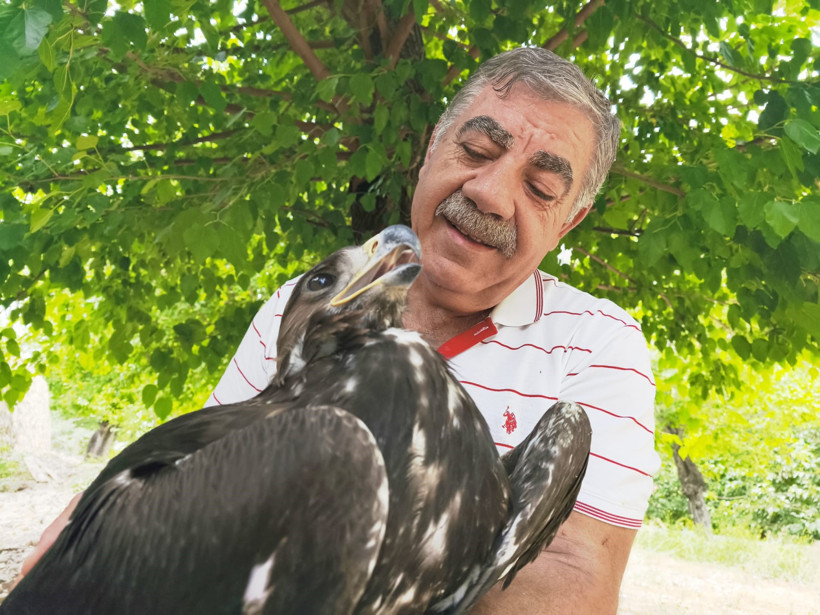 Kartalla dost oldu: Yırtıcı bir huyunu görmedik - Resim : 1