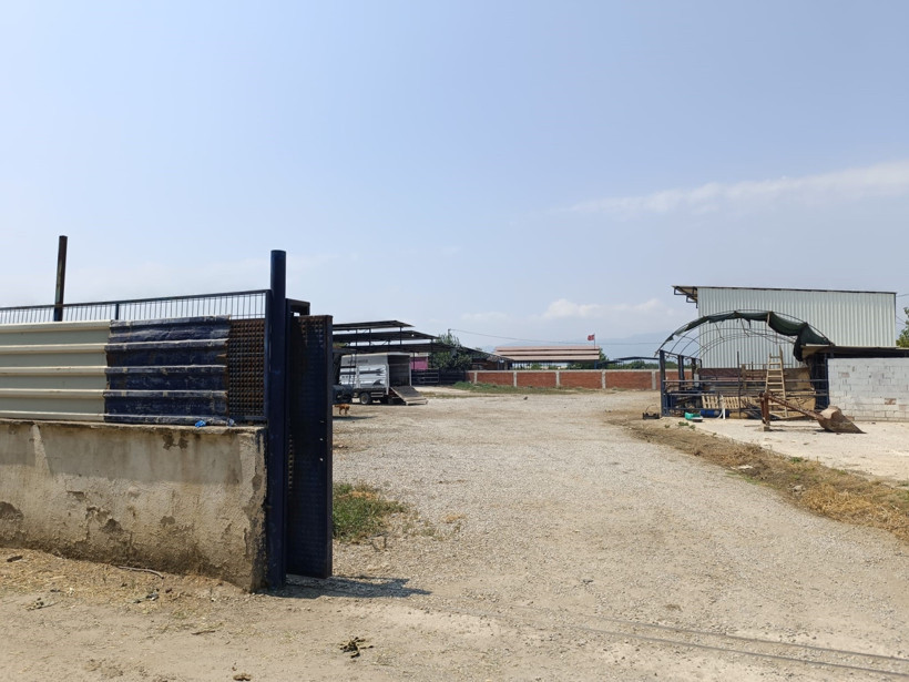 Yanan çiftlikte ceset bulundu: 3 gözaltı - Resim : 1