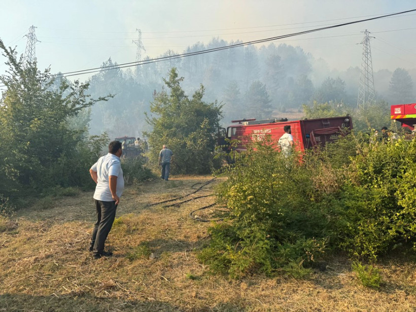 Bartın'da 4 ayrı noktada orman yangını - Resim : 1