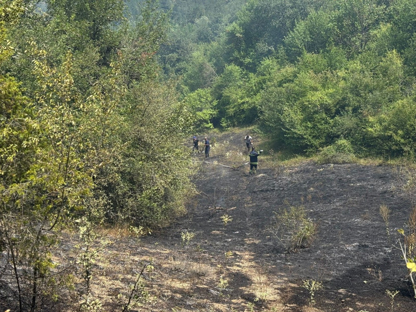Bolu’da orman yangını - Resim : 2