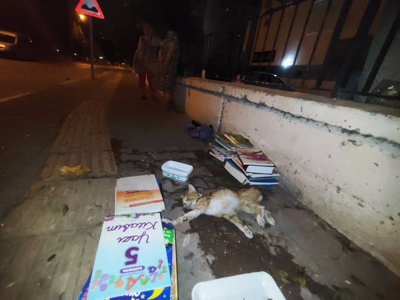 Sokakta gördüler, seferber oldular - Resim : 1