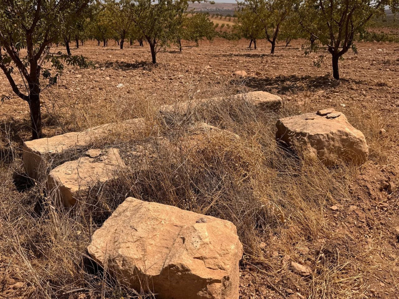Fıstık tarlasından binlerce yıllık kaya mezarı çıktı - Resim : 1