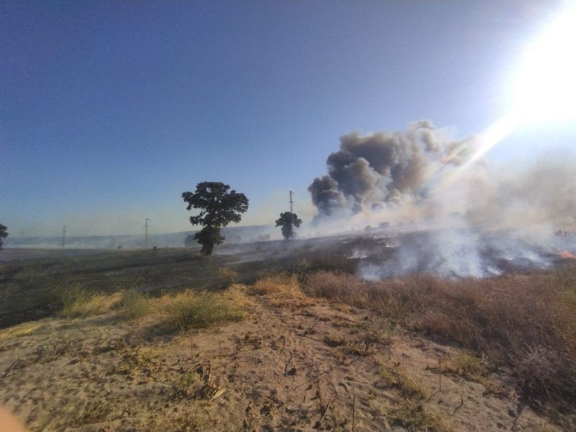 Edirne'deki orman yangını büyüyor - Resim: 2