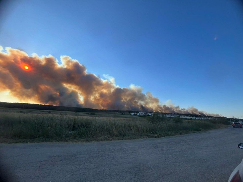 Edirne'deki orman yangını büyüyor - Resim: 8