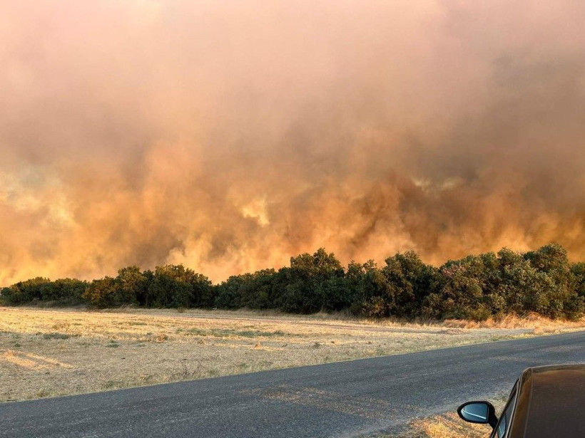 Edirne'deki orman yangını büyüyor - Resim: 21