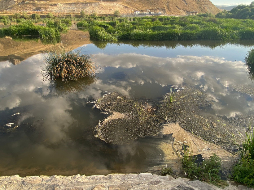 Gölette korkutan manzara: Yüzlerce balık ölü bulundu - Resim : 1