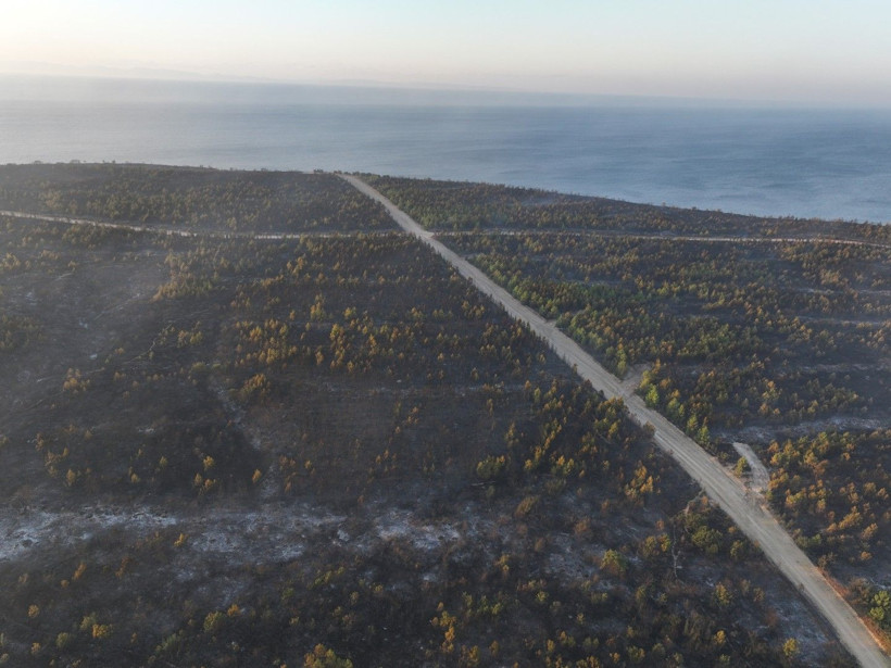 Edirne de yandı: Binlerce kişi tahliye edildi, yaralananlar var - Resim: 19