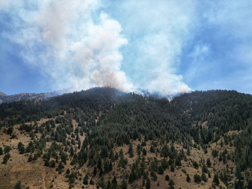 İki ilde daha ormanlar yanıyor - Resim : 3
