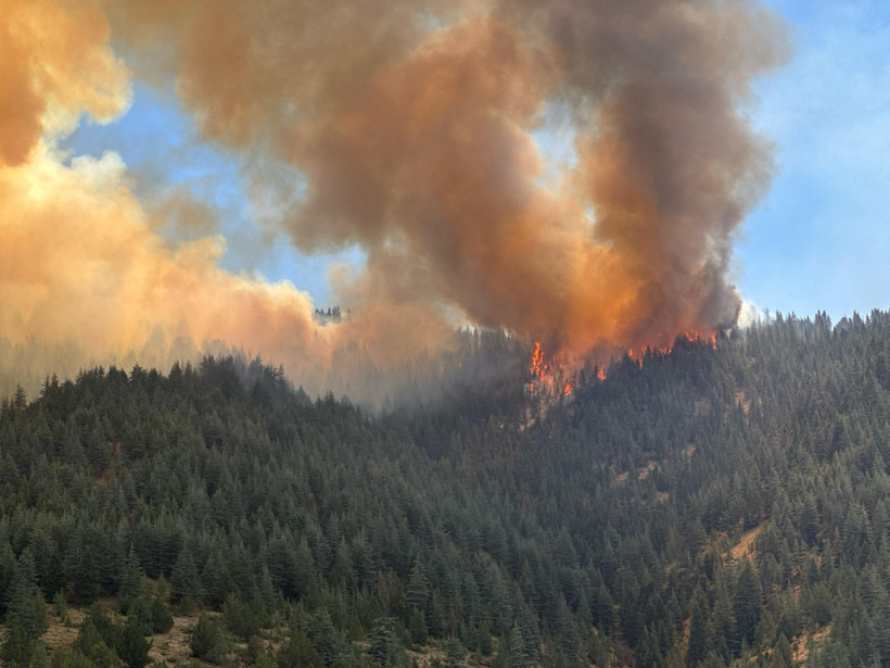 İki ilde daha ormanlar yanıyor - Resim : 4