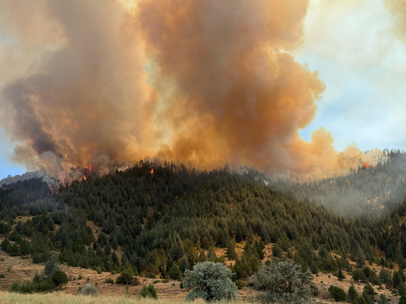 İki ilde daha ormanlar yanıyor - Resim : 2