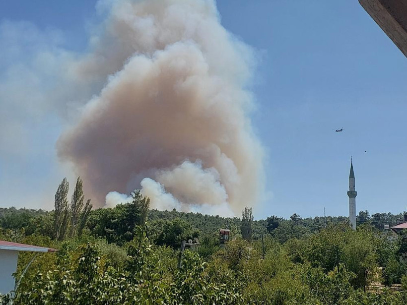 Mersin'de orman yangını - Resim : 2