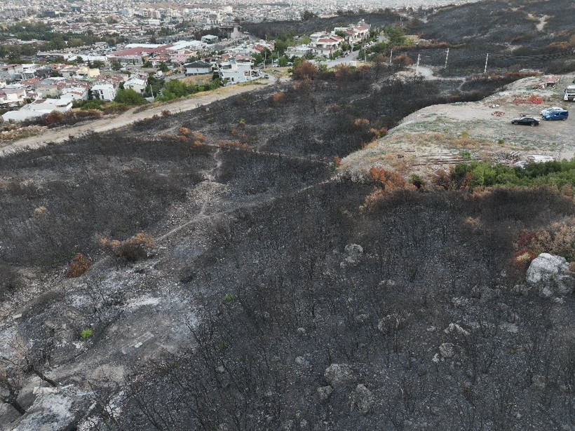 İzmir'deki yangından yürek yakan görüntüler - Resim: 4