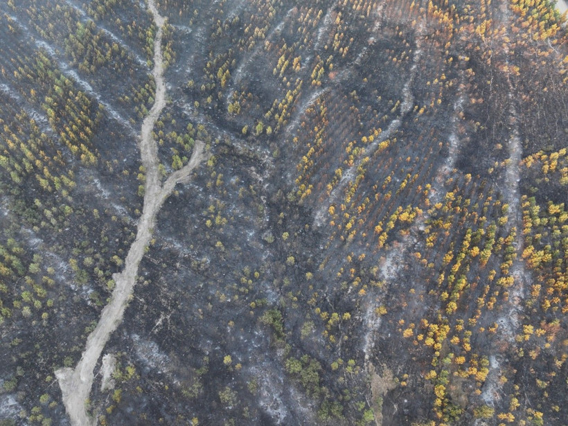 Cebimiz de yanıyor: Sadece bir hektarın maliyeti 600 bin lira - Resim: 5