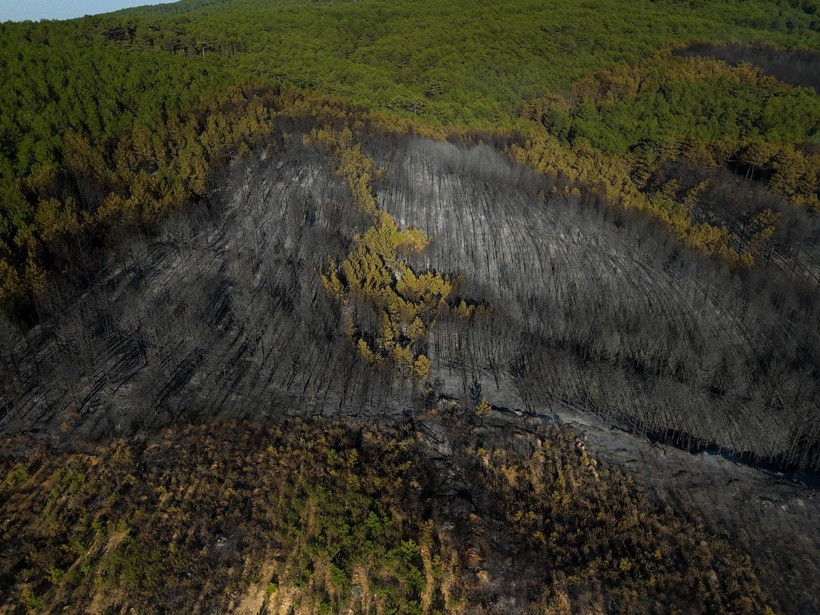 Cebimiz de yanıyor: Sadece bir hektarın maliyeti 600 bin lira - Resim: 15