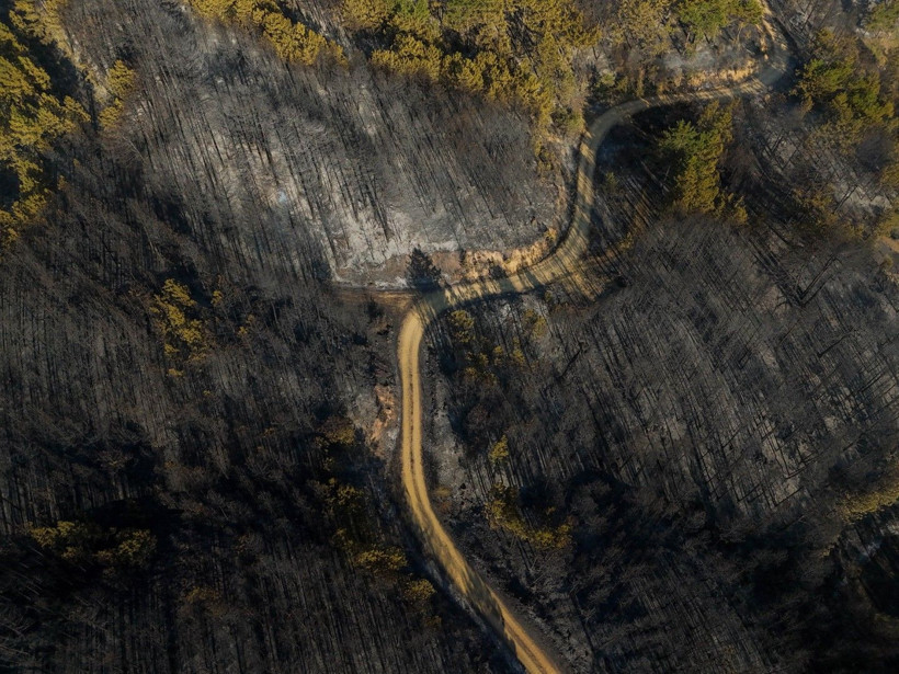 Cebimiz de yanıyor: Sadece bir hektarın maliyeti 600 bin lira - Resim: 16