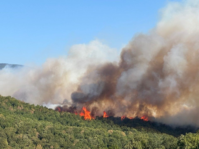 Kocaeli'de çıkan orman yangınına müdahale ediliyor - Resim: 4