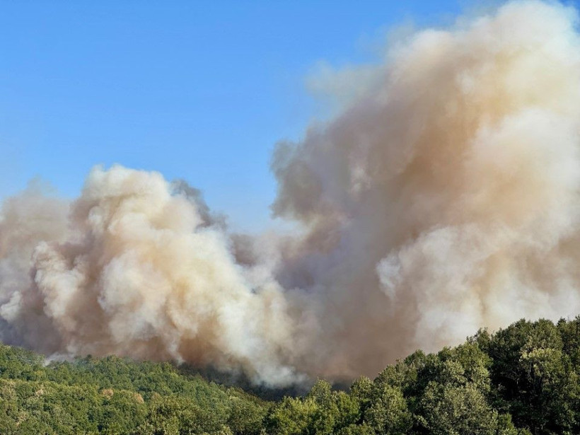 Kocaeli'de çıkan orman yangınına müdahale ediliyor - Resim: 5