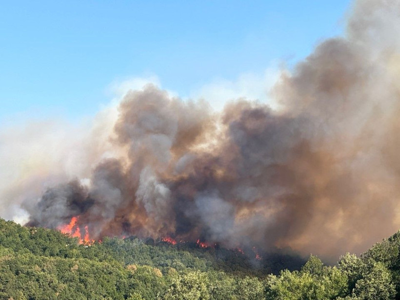 Kocaeli'de çıkan orman yangınına müdahale ediliyor - Resim: 6