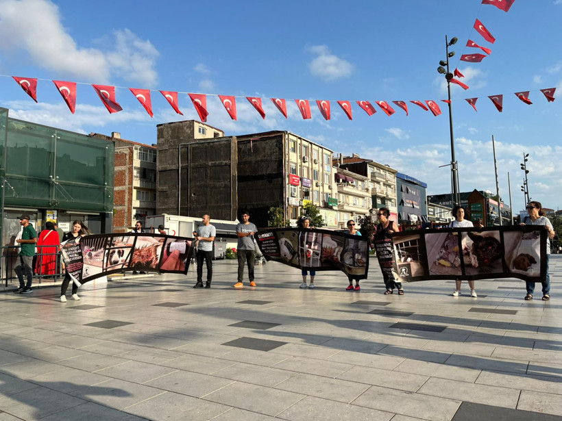 Hayvanlar için 300 gündür nöbetteler: Zulme 'normal' diyemeyiz - Resim : 1