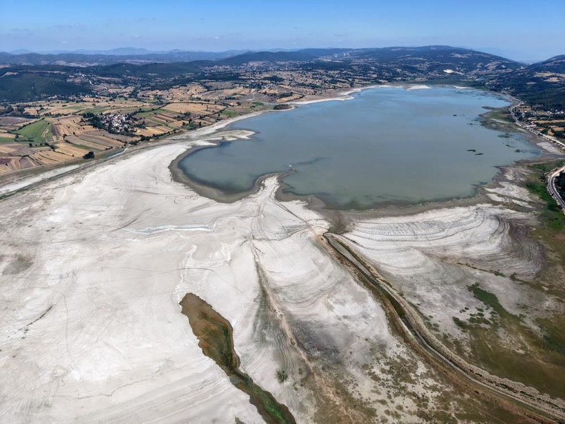 Su metrelerce çekildi: Bir zamanlar balıklar yüzüyordu, şimdi inekler otluyor - Resim: 2