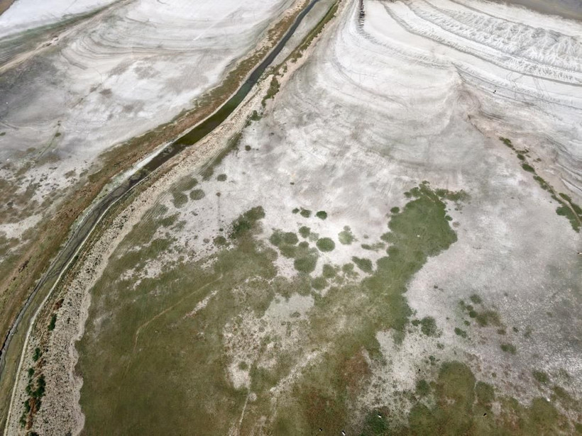 Su metrelerce çekildi: Bir zamanlar balıklar yüzüyordu, şimdi inekler otluyor - Resim: 4