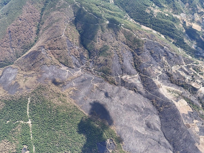 Kocaeli'de acı manzara - Resim: 7