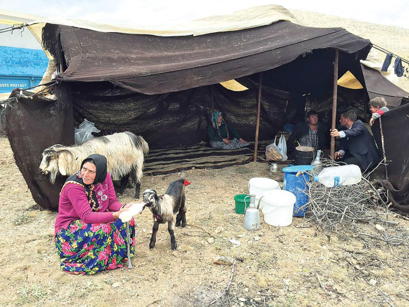 Orman yangınları yörükleri de yaktı - Resim : 3