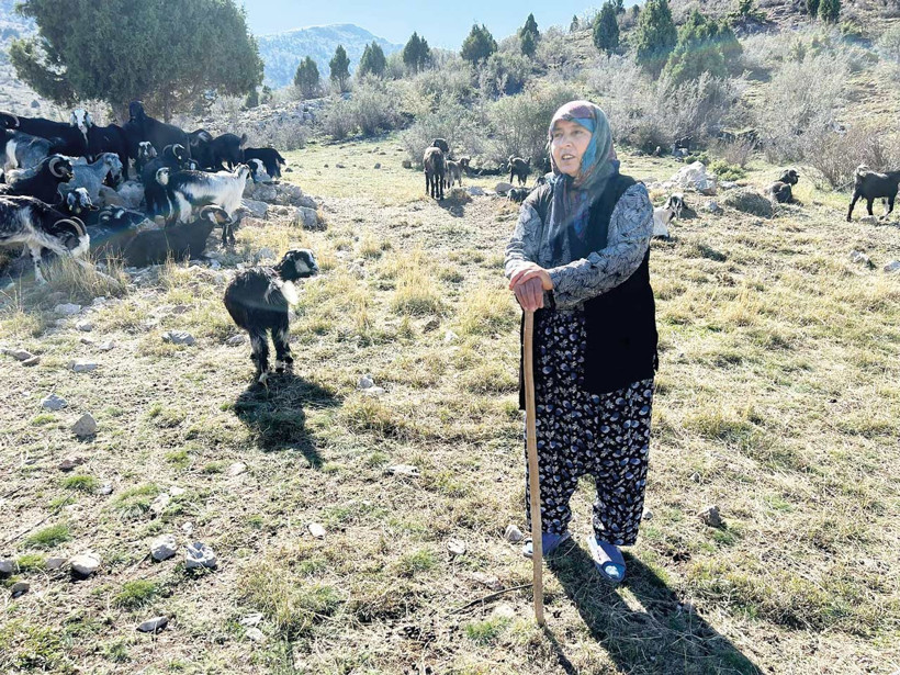 Orman yangınları yörükleri de yaktı - Resim : 2