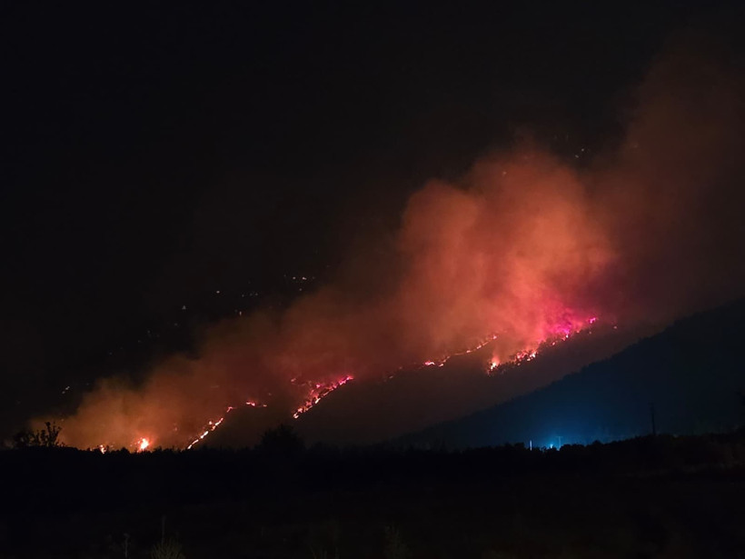 Pamukkale yangınından güzel haber - Resim : 1