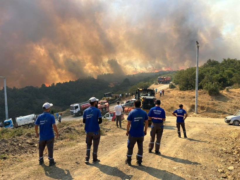 Bursa'daki orman yangını saatler sonra kontrol altında - Resim: 1