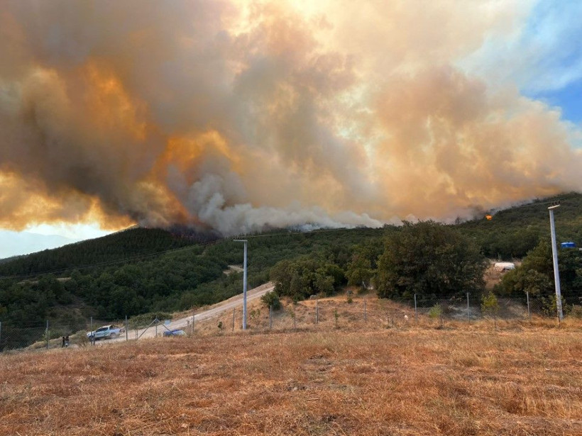 Bursa'daki orman yangını saatler sonra kontrol altında - Resim: 3
