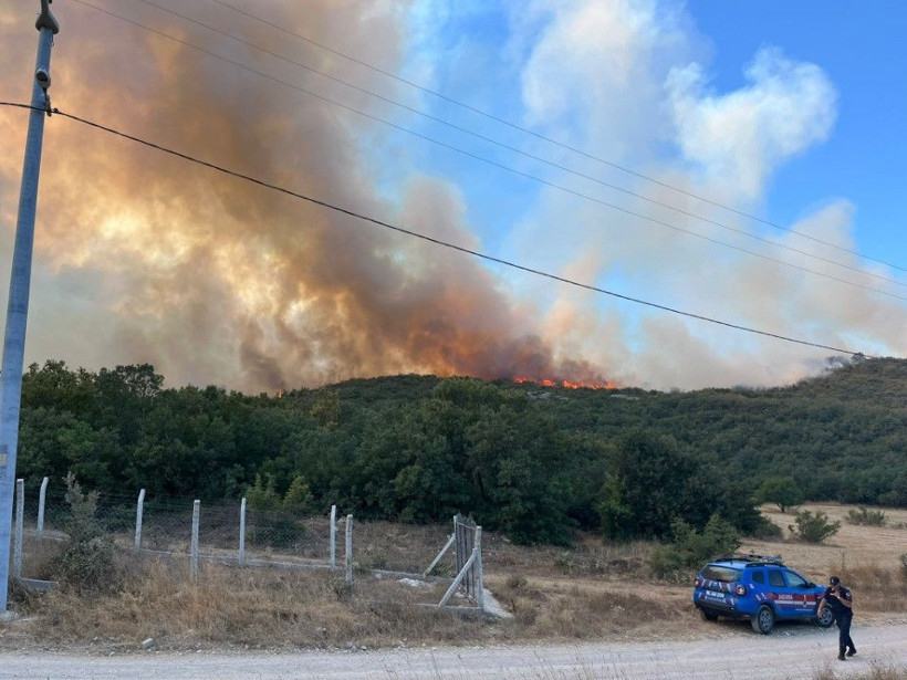 Bursa'daki orman yangını saatler sonra kontrol altında - Resim: 5
