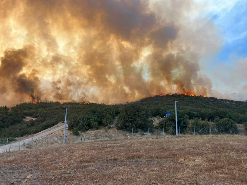 Bursa'daki orman yangını saatler sonra kontrol altında - Resim: 7