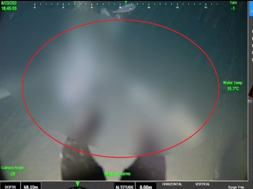 Kıvanç Tatlıtuğ'un son yazışmaları ortaya çıktı: 'Alo, alo, alo, telefon kapandı' - Resim : 2