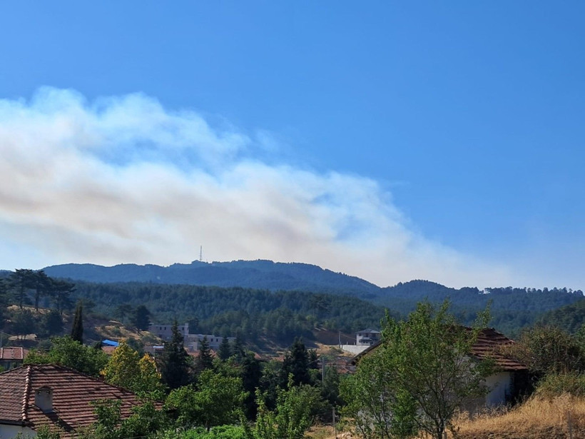 Denizli'de başladı, Aydın'a sıçradı: Üç gündür yanıyor - Resim: 9