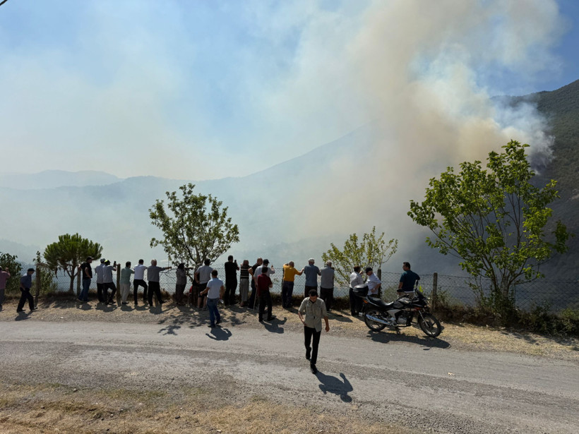 Milli parkta yangın - Resim : 1