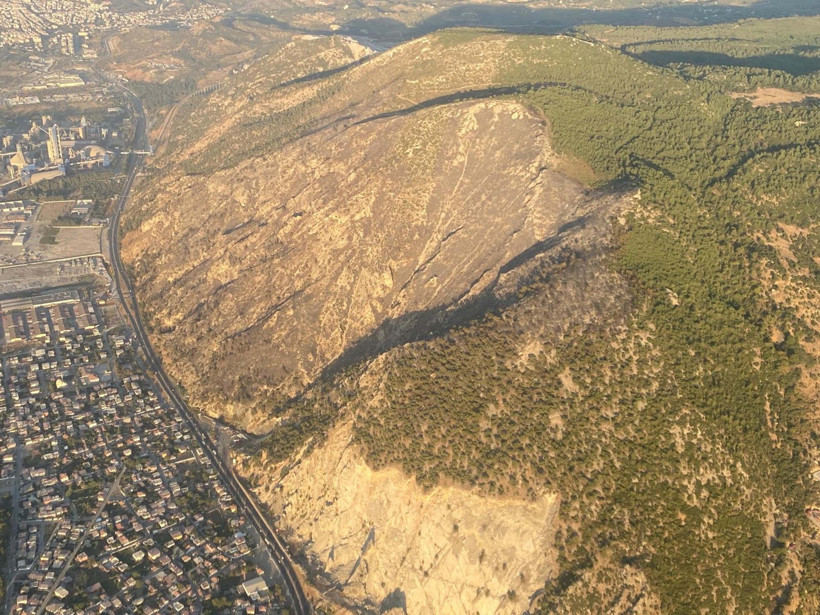 Aydın Söke’de çıkan orman yangını 50 hektarı yok etti - Resim : 1