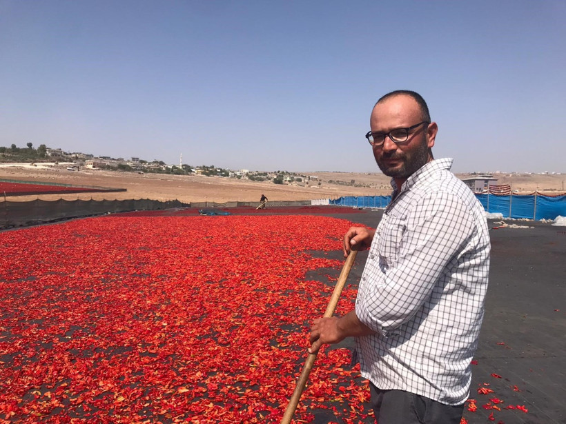 Şanlıurfa'da acı serüven: Kilosu 350 liradan başlıyor - Resim : 1