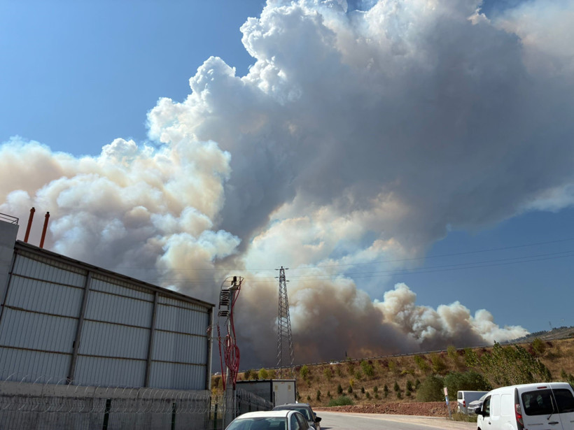 Bursa'da orman yangını - Resim : 1